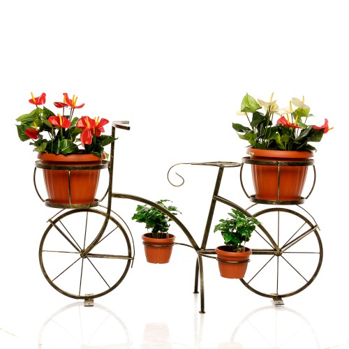 Садовый велосипед 53-605